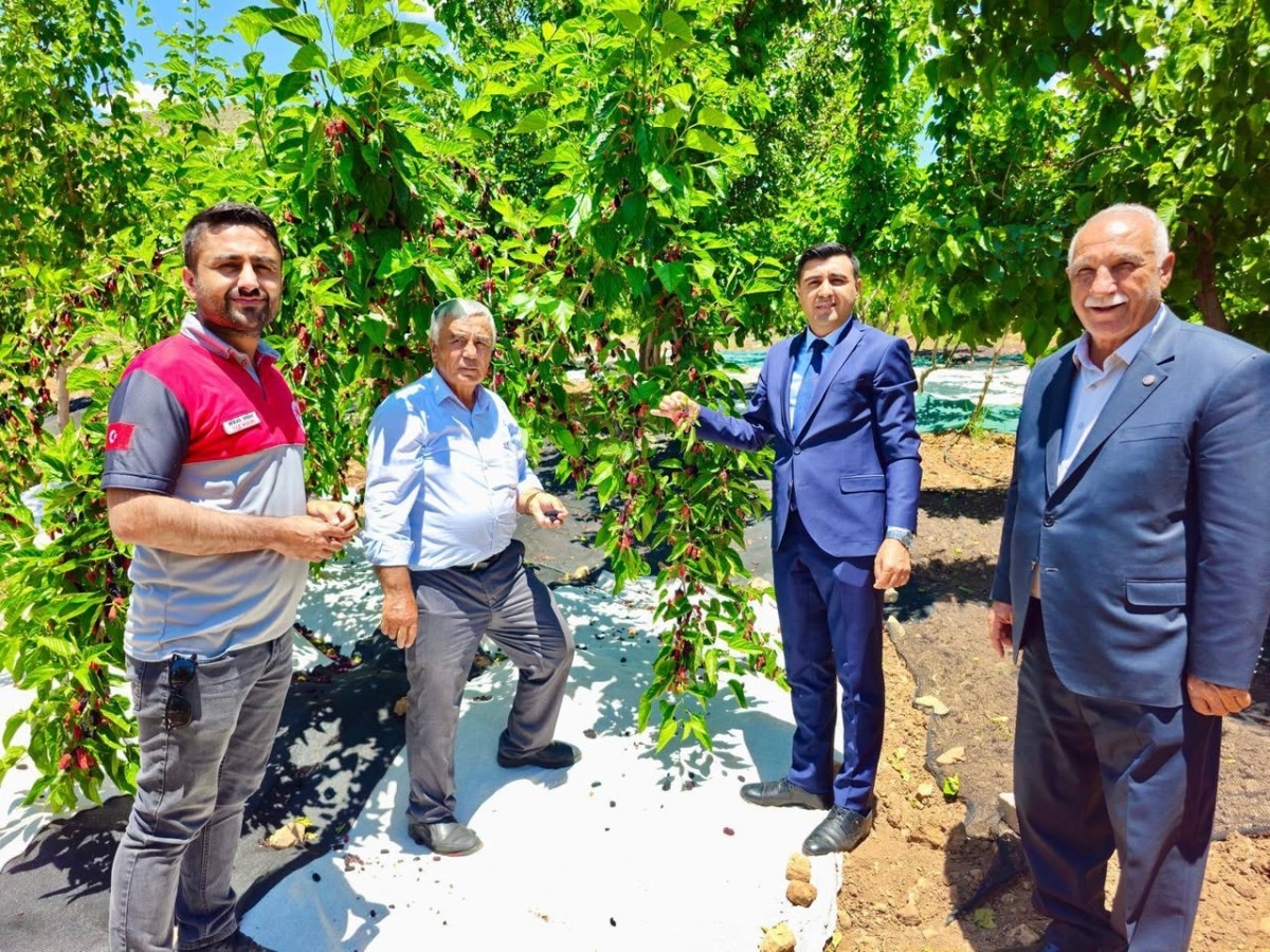 Tut’ta Hasad Başladı