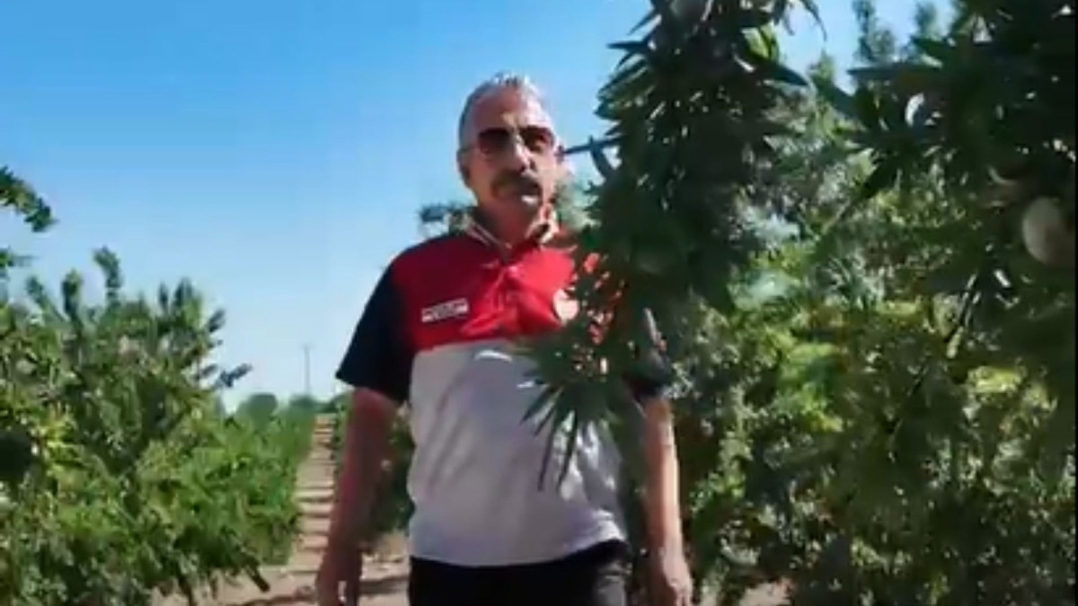 Badem Bahçelerinde Verim ve Kalite Değerlendirildi  - Videolu Haber