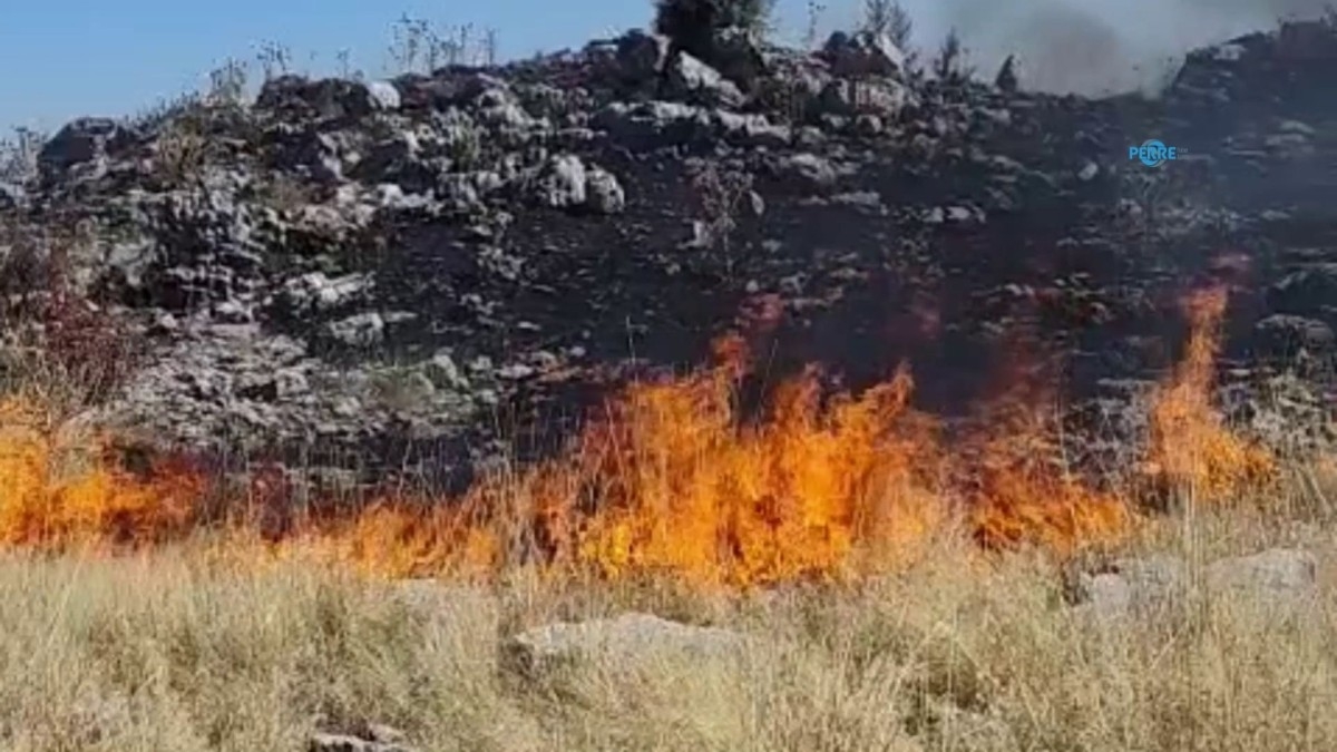 Başkan Tutdere: